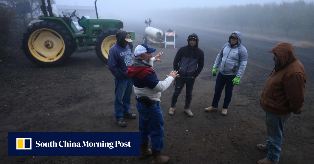 ‘Americans don’t want these jobs’: US farmers fret over Trump deportation plans