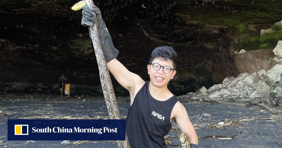 Hong Kong snake catcher channels his passion for reptiles into public service
