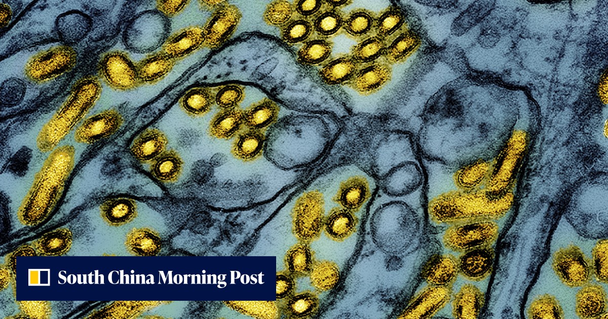 カナダの十代の少女から分離されたH5N1鳥インフルエンザウイルスに「懸念すべき」変異が見つかる