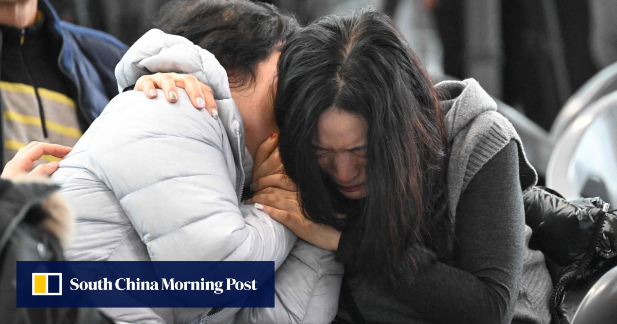 South Korea’s Jeju Air crash: pet dog rescued after losing 9 family members in disaster