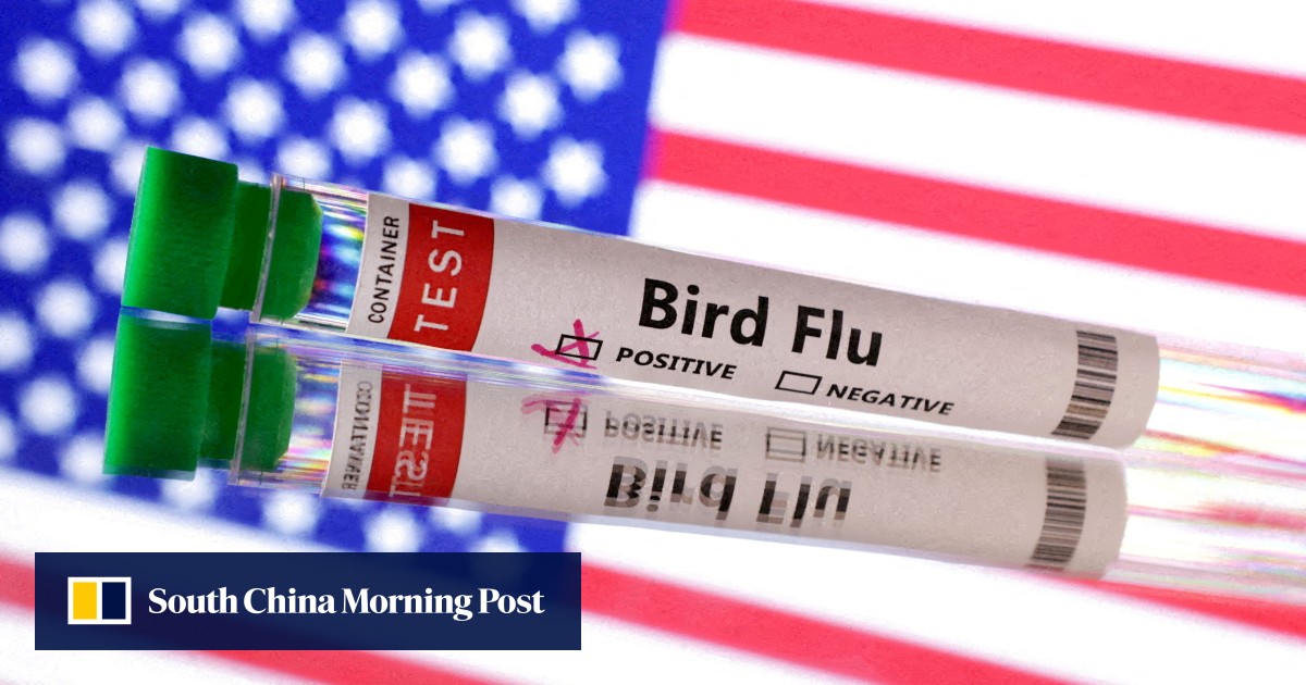 US allocates US6 million in new bird flu funding before Trump takes office