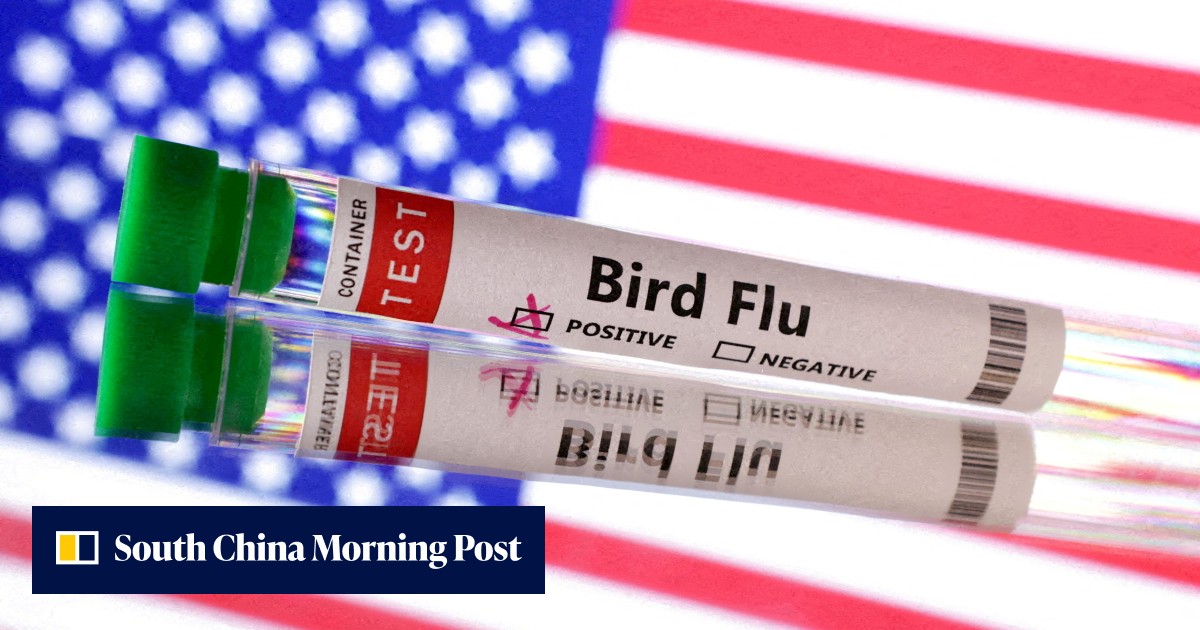 US allocates US6 million in new bird flu funding before Trump takes office US allocates US6 million in new bird flu funding before Trump takes office