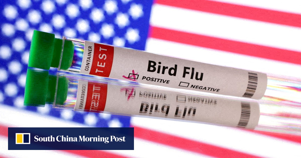 First US bird flu death announced in Louisiana South China Morning Post