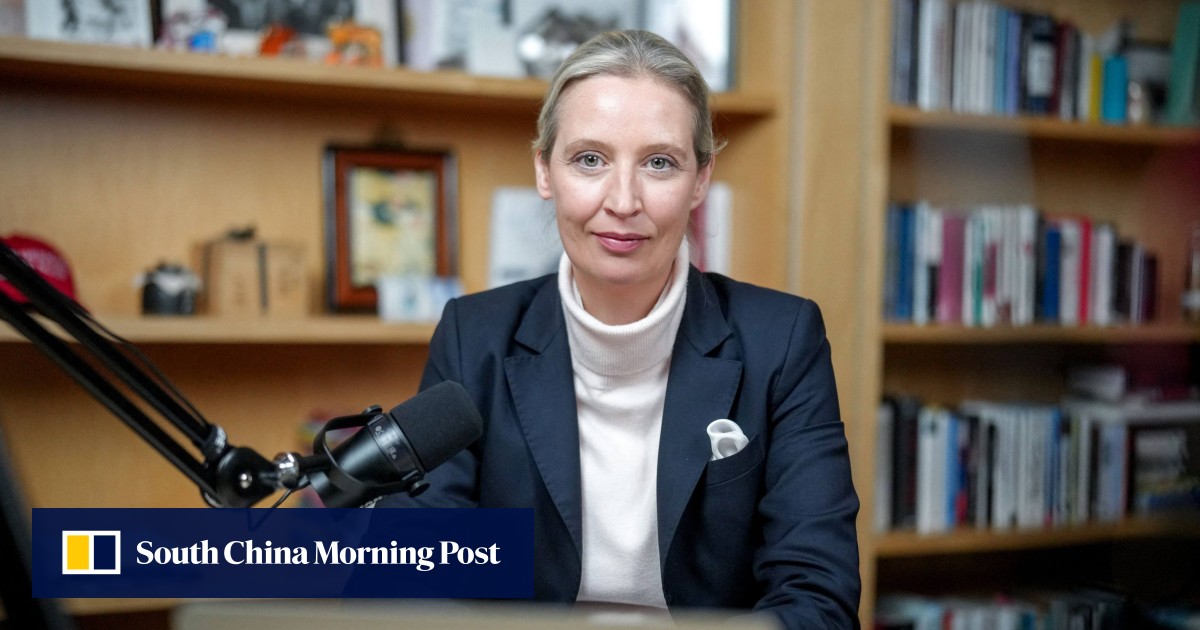 Musk promotes German far-right leader in wide-ranging online chat