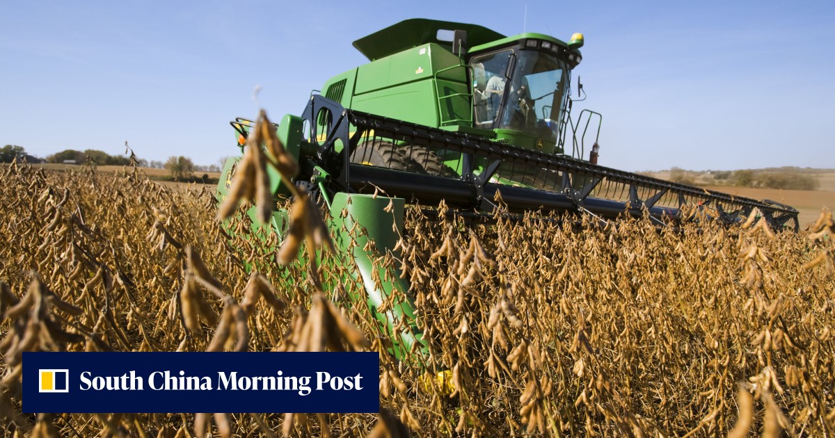 Can US, China improve soybean trade, or will Beijing hit US farmers ...