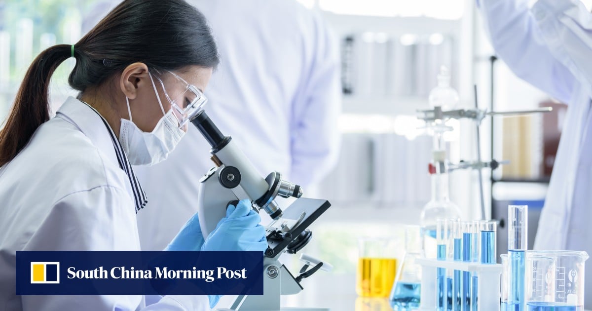 China surpasses US in tally of best scientists for the primary time: document China surpasses US in tally of best scientists for the primary time: document