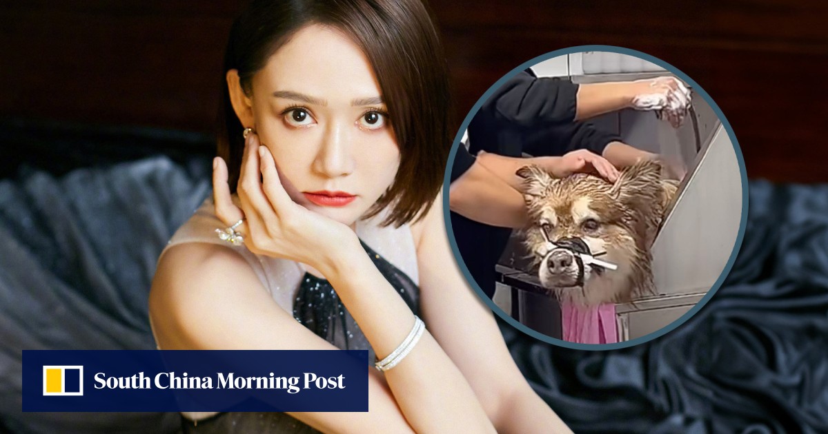 Taiwan actress slams mainland Chinese influencer after dog dies during live stream bath