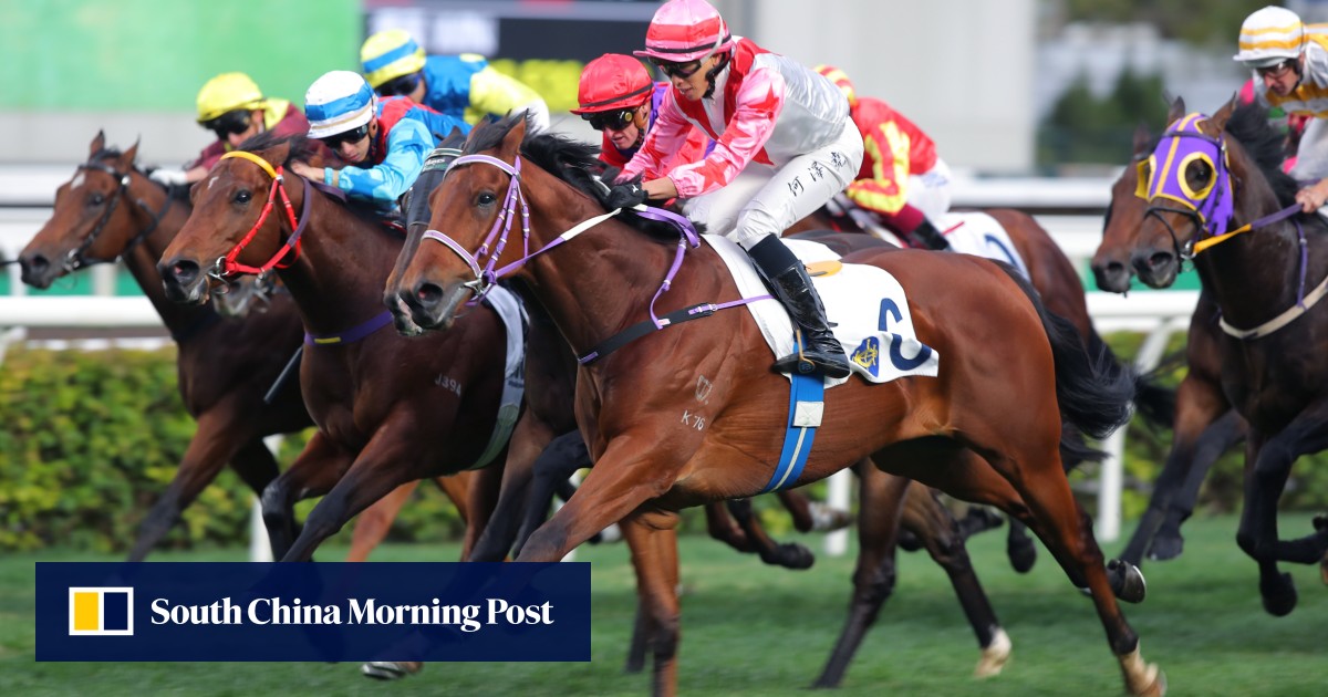 Undefeated galloper brings the Boom on blustery Sha Tin day