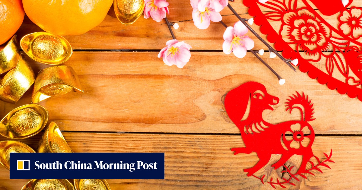 Feng shui tips for Dogs in the Year of the Snake, for health, wealth ...