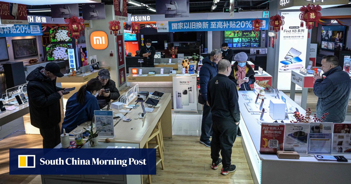 China’s retail subsidy fuels Lunar New Year shopping spree
