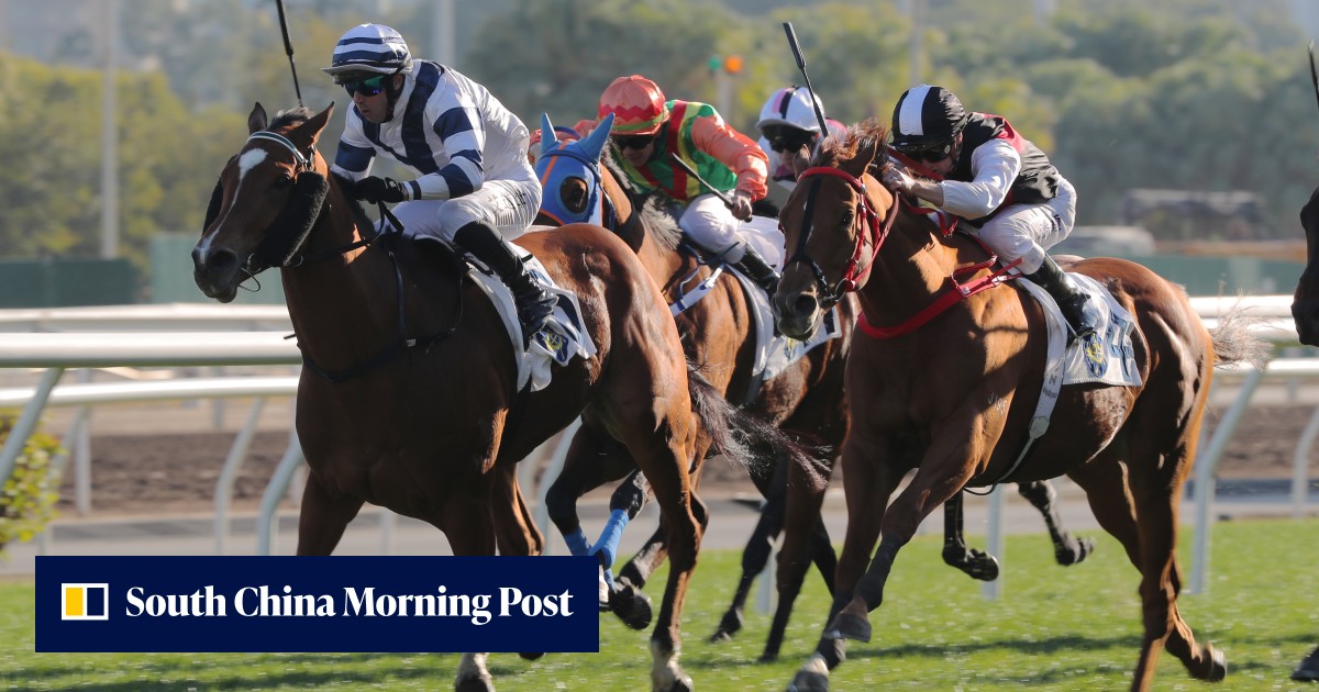 David Hayes sets sights on third Classic Mile win with in-form Rubylot ...