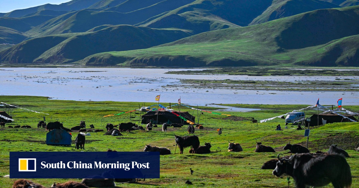 Tibetan tree rings, China’s home-grown jumbo jets: SCMP daily ...