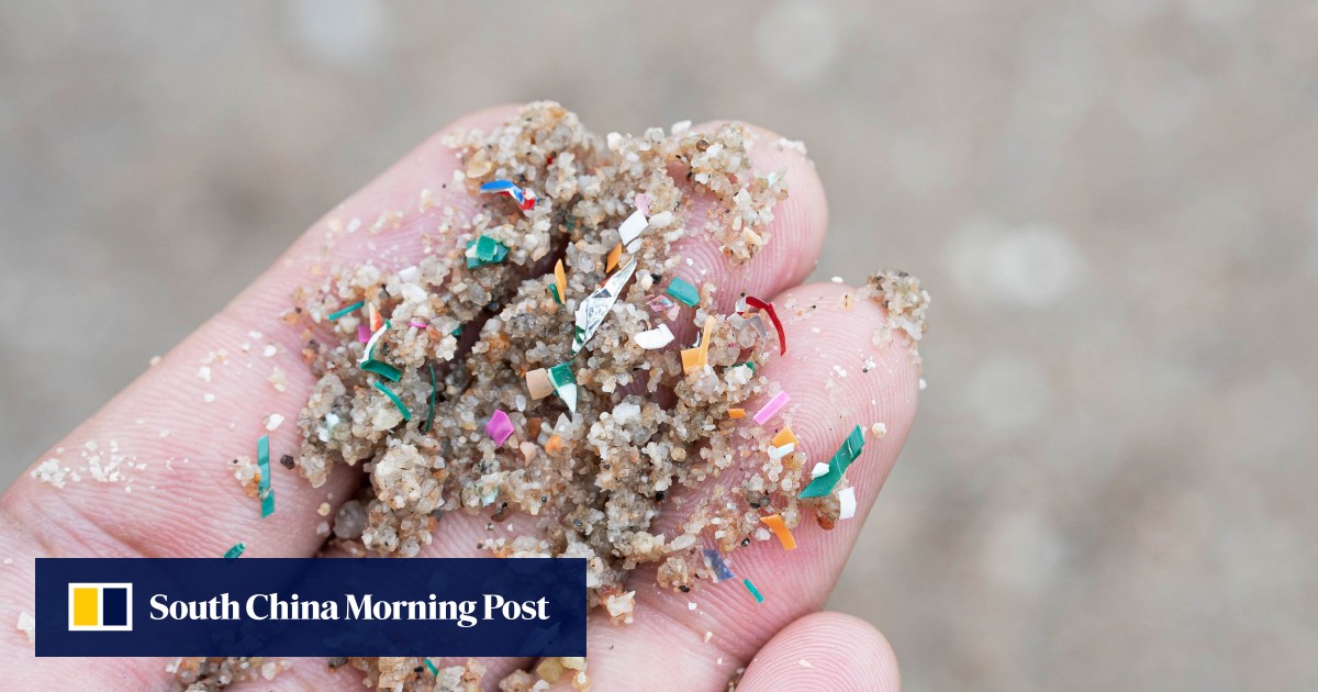 Microplastic levels in our brains are rising fast, study finds | South ...