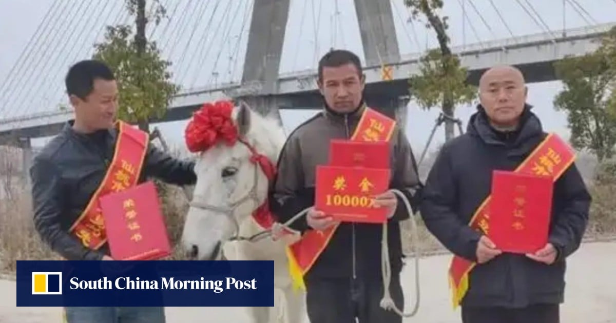 White horse in China dies after saving drowning man, government erects statue in its honour | South China Morning Post