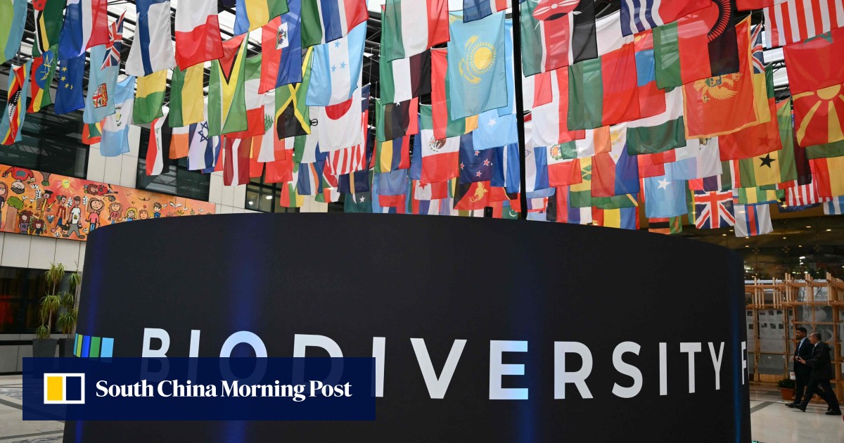 Nations Agree on $200 Billion Biodiversity Funding Plan at COP16