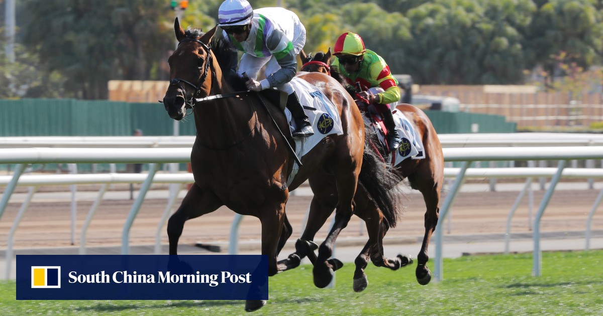 Eustace confident Light Years Charm can surge into Derby contention