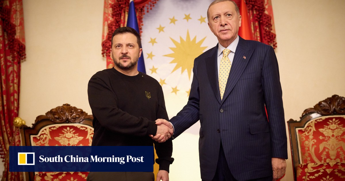 Turkey ready to send troops to Ukraine ‘if needed’: defence ministry source