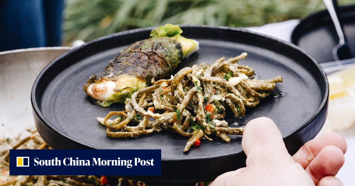 Edible seaweed on Scotland’s shores draws the world’s foragers. Sea ...
