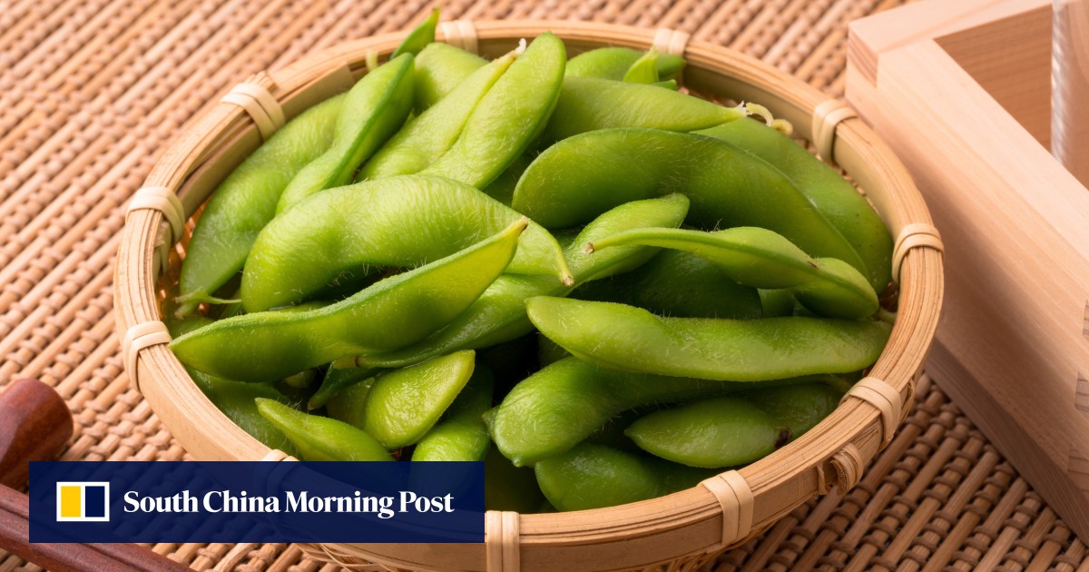 Unlocking Plant-Based Protein: How to Meet Your Daily Requirements