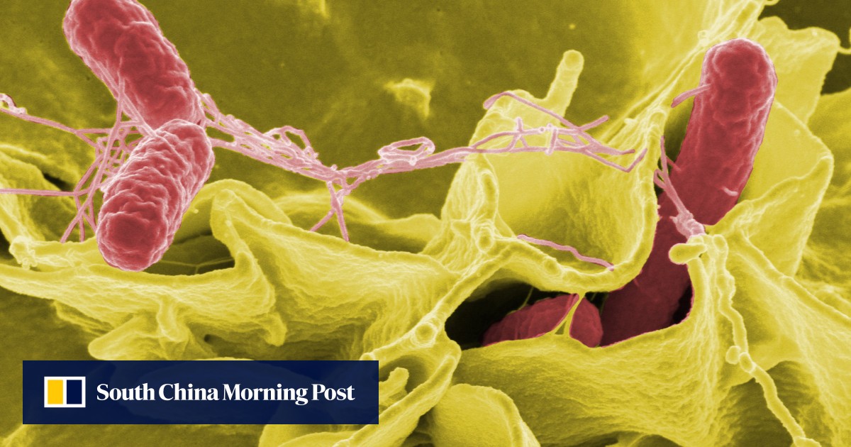 Chinese-Engineered Bacterial Assassin: Revolutionizing Cancer Treatment?