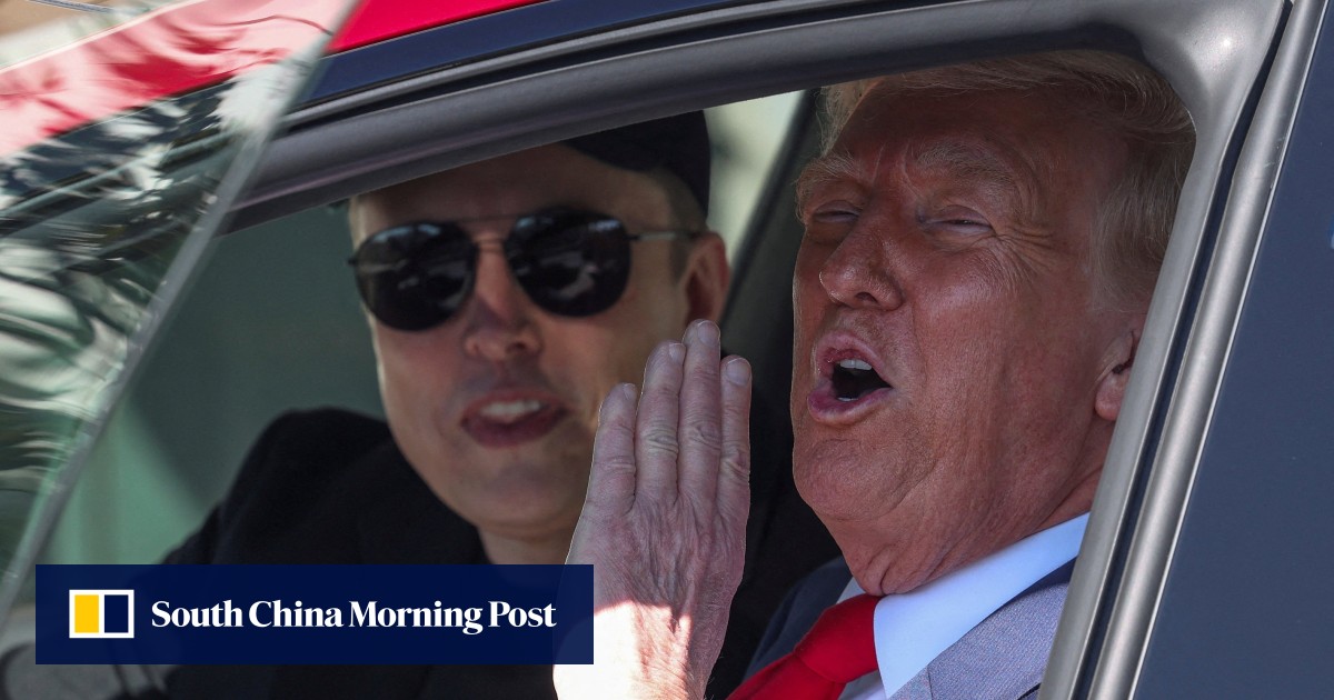 Trump labels Tesla attacks domestic terrorism, vows to punish perpetrators
