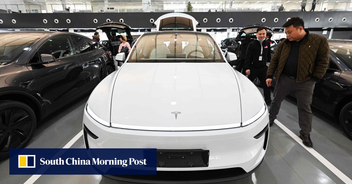 Tesla plans cheaper Model Y, self-driving upgrade to put brakes on China sales slide