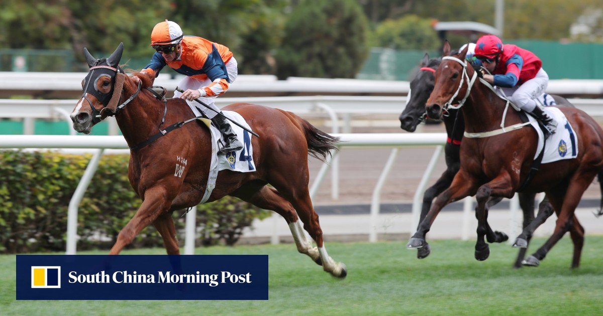 Hugh Bowman fancies inside draw for Sunlight Power in Kowloon Tong Club Trophy