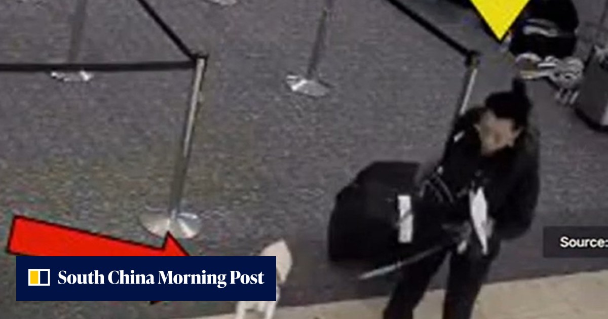US woman drowned her dog in airport bathroom after being denied ...