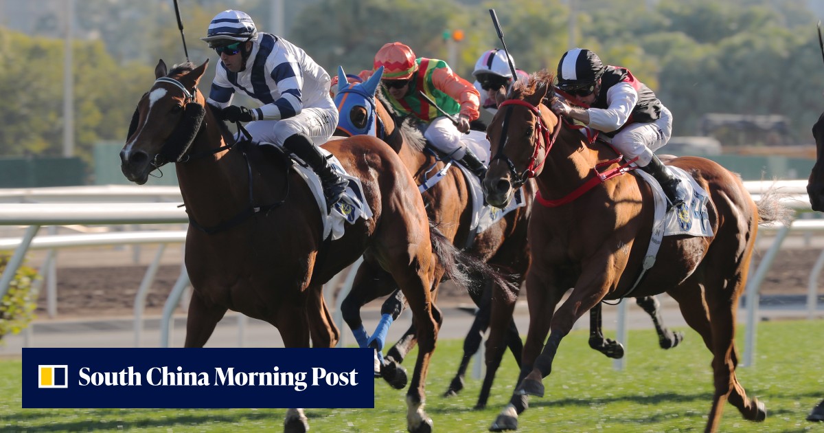 David Hayes may make Champions Mile a family affair with beaten Hong ...