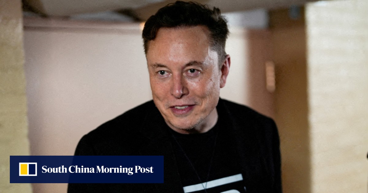 埃隆·马斯克（Elon Musk）品牌特朗普顾问彼得·纳瓦罗（Peter Navarro）的傻瓜比一袋砖头的关税