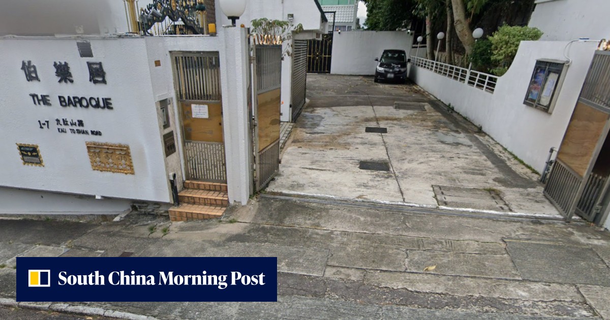 2 burglars ransacking Hong Kong luxury home flee after being spotted by ...