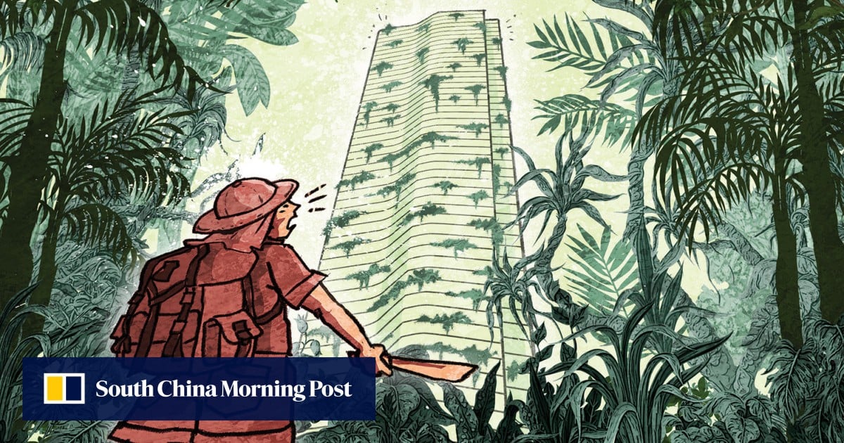 马来西亚“幽灵城”和多大的开发商的中国居民发现了一些绿色拍摄