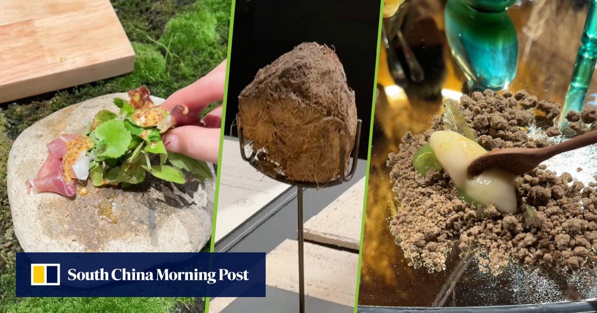 Shanghai Restaurant Offers Controversial Elephant Dung Dessert