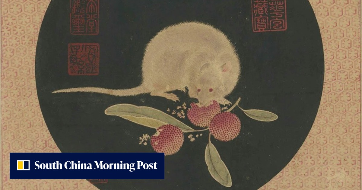Oh rats! Did Zheng He’s Ming era Treasure Fleet help spread rodents ...