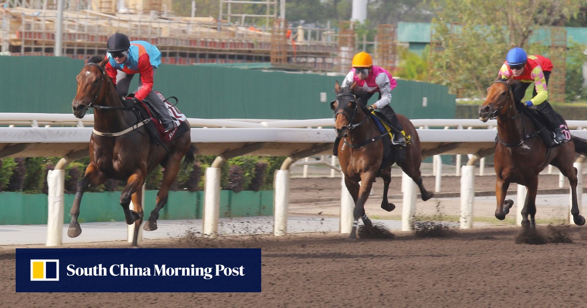 Star sprinter Ka Ying Rising on song for Champions Day after ‘perfect ...