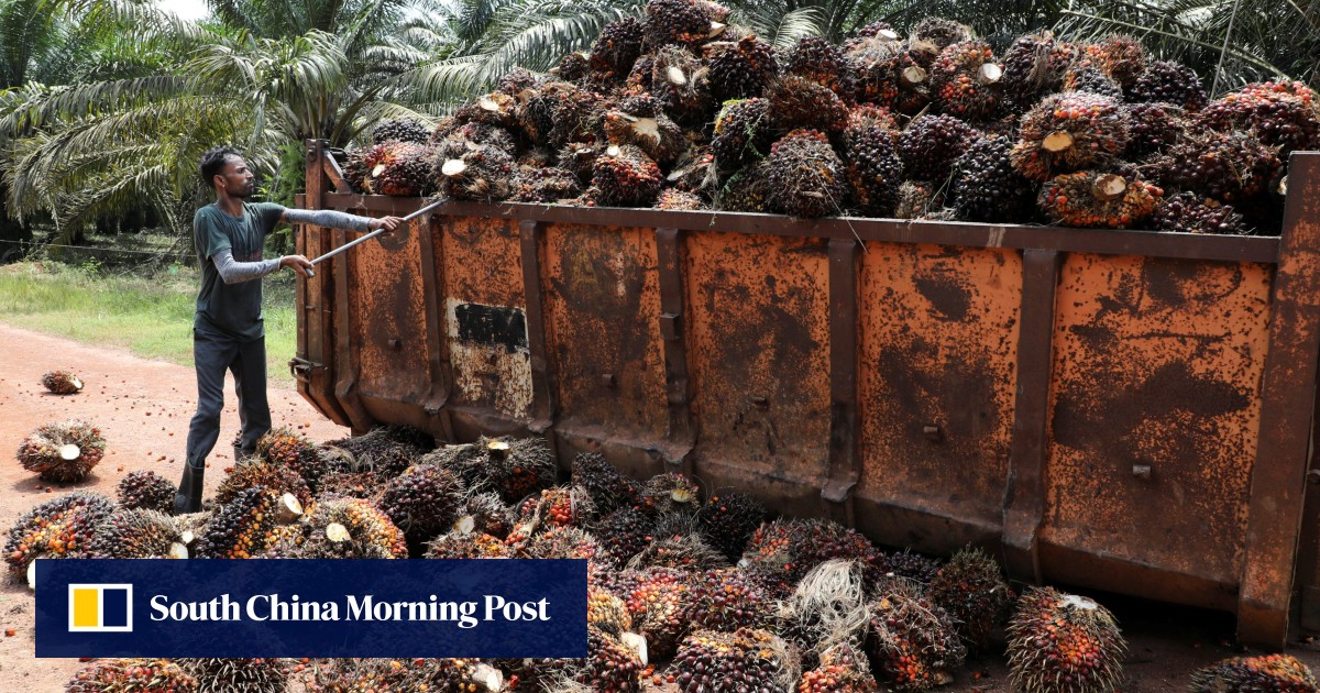 Malaysia, Indonesia, Ghana Explore Trade Alternatives Amid US Tariff Pressures