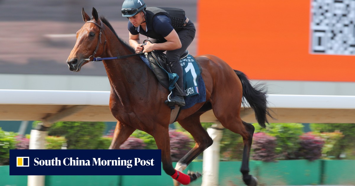 ‘Amazing’ Goliath ready to rumble ahead of QE II Cup battle | HK Racing ...