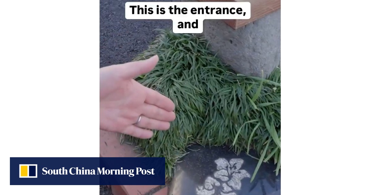 Nagaizumi's Pocket Park Named World's Smallest by Guinness