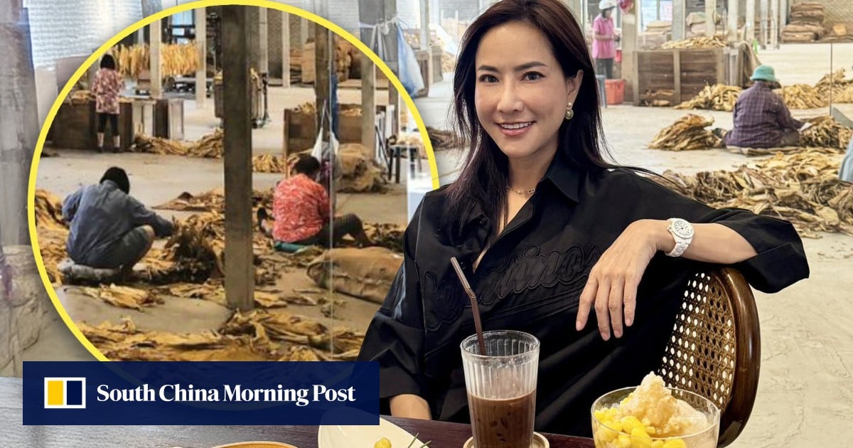 https://cdn.i-scmp.com/sites/default/files/styles/og_image_scmp_generic/public/d8/images/canvas/2025/04/29/0e9dd29a-22b6-4b37-9bfa-fa080621ff15_af0f750c.jpg?itok=89Iklx5r&v=1745924934