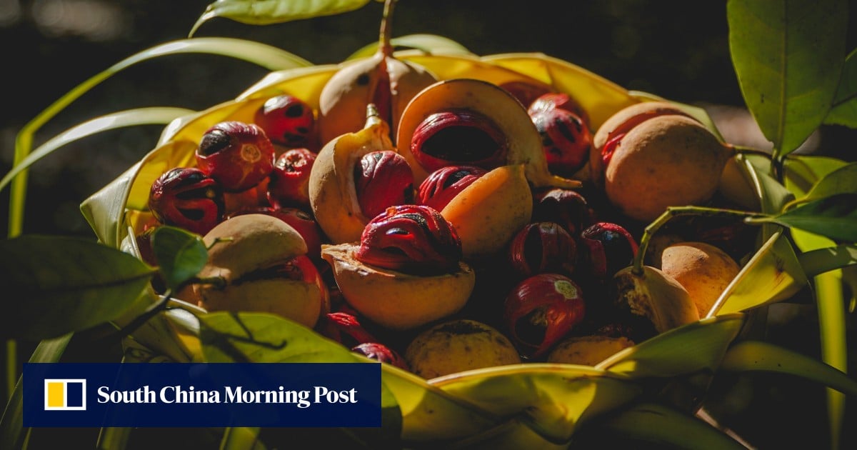 https://cdn.i-scmp.com/sites/default/files/styles/og_image_scmp_generic/public/d8/images/canvas/2025/05/07/1c522b5d-8475-491f-a7cf-c4dc1d98dfa6_409e0f1b.jpg?itok=5Ce46vY5&v=1746604390