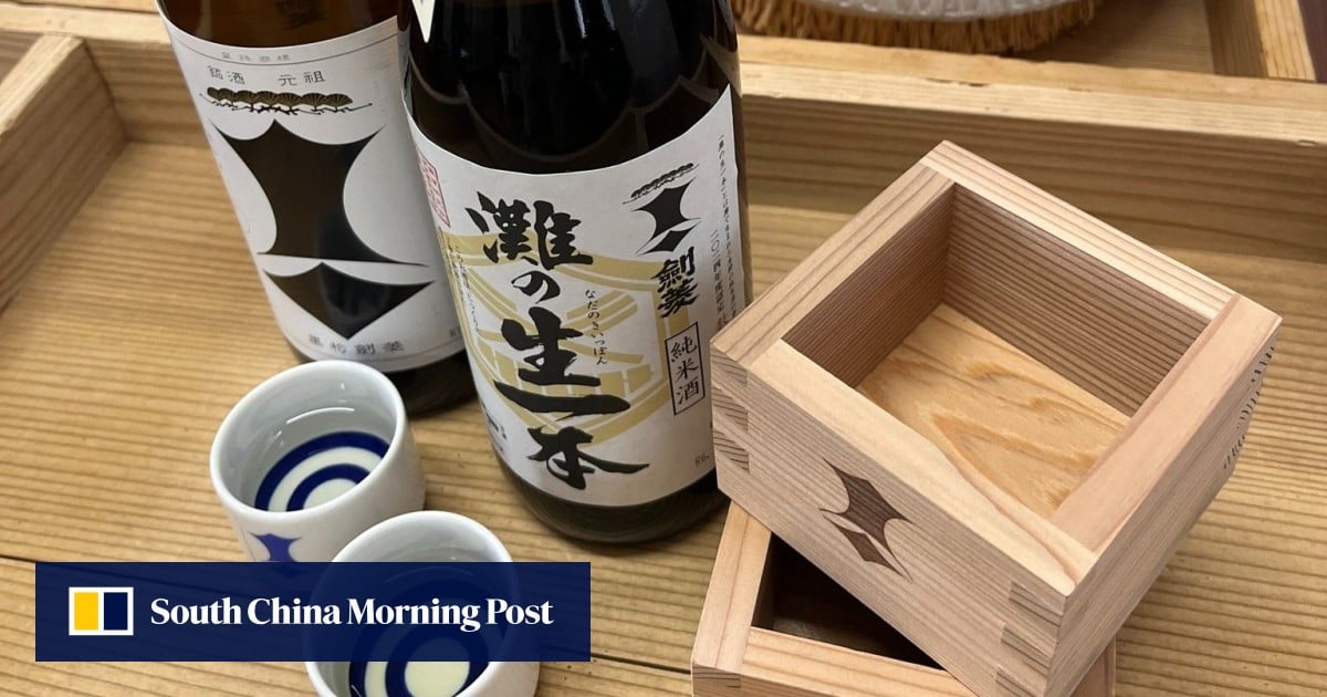 https://cdn.i-scmp.com/sites/default/files/styles/og_image_scmp_generic/public/d8/images/canvas/2025/05/08/33f8332d-7276-4fa5-afb5-9afe0071d618_4fd465fe.jpg?itok=LwamMKpf&v=1746694471