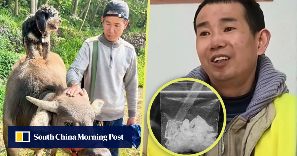 https://cdn.i-scmp.com/sites/default/files/styles/og_image_scmp_generic/public/d8/images/canvas/2025/05/08/6d30d35b-7473-46f9-959f-2bdd0bf0d926_fa6be85c.jpg?itok=HO9eU9fV&v=1746701443