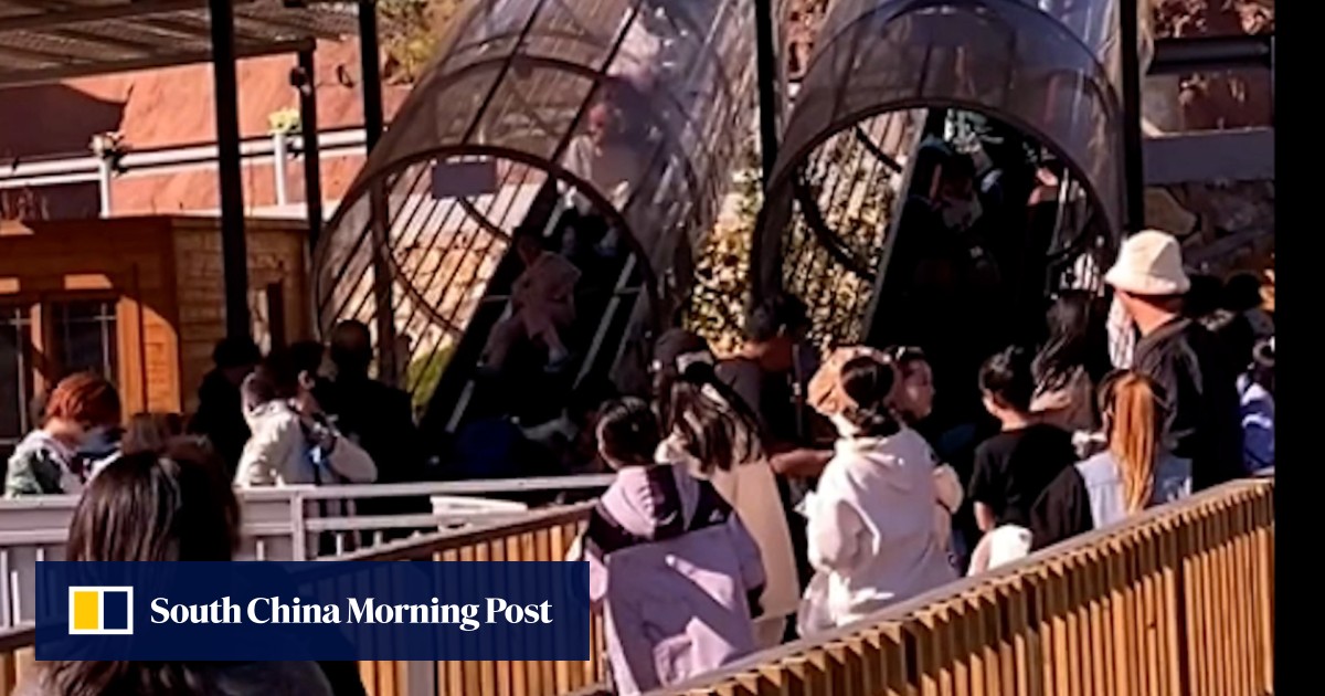 https://cdn.i-scmp.com/sites/default/files/styles/og_image_scmp_generic/public/d8/images/canvas/2025/05/09/630c6ab1-b091-4f18-9a13-d39892e22a50_46ffee2c.jpg?itok=IKo2qTyx&v=1746778907