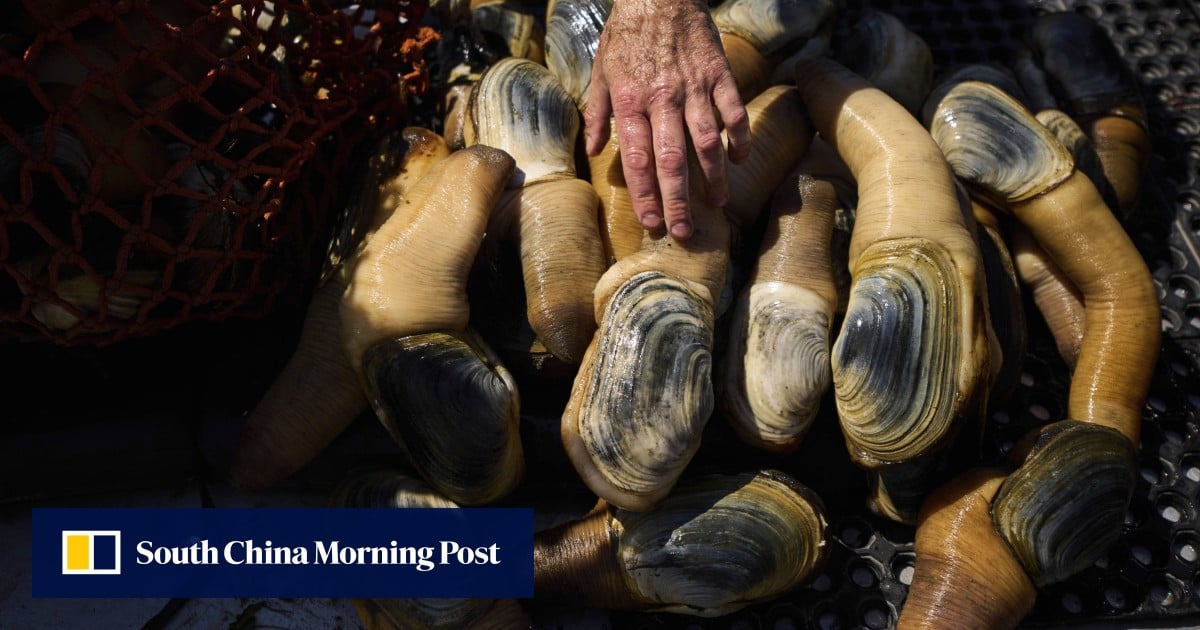 https://cdn.i-scmp.com/sites/default/files/styles/og_image_scmp_generic/public/d8/images/canvas/2025/05/10/e624b5af-de4b-4e03-8d10-9e4b961d43a9_146c32df.jpg?itok=4rSyugvE&v=1746841547