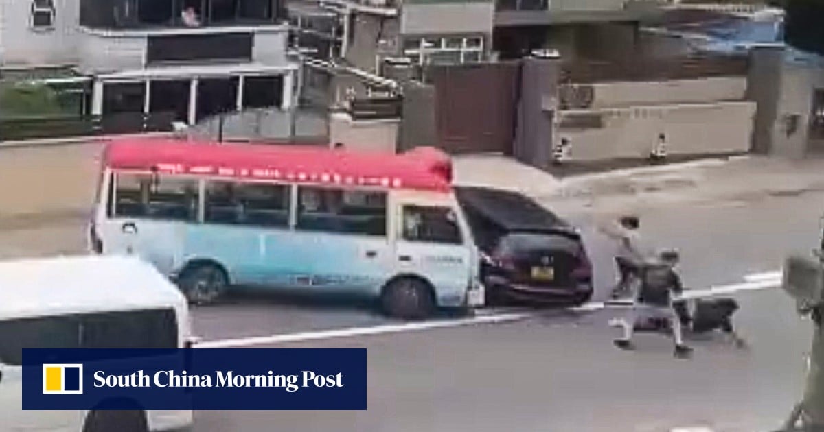 2 men arrested in Hong Kong over violent confrontation involving minibus driver