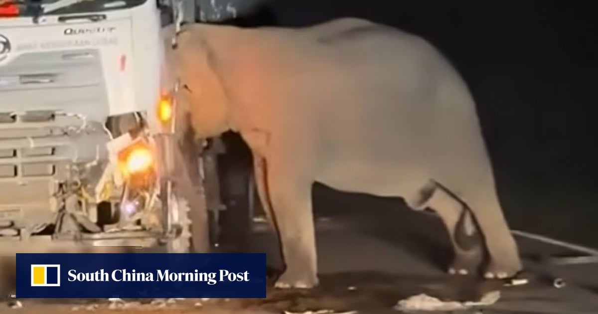 https://cdn.i-scmp.com/sites/default/files/styles/og_image_scmp_generic/public/d8/images/canvas/2025/05/12/e24419c9-e1a5-4bea-9131-1af3b1eee12f_7511a4c1.jpg?itok=e5CcxXXg&v=1747019312