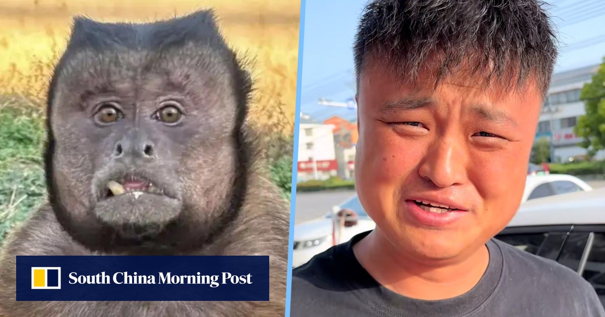 https://cdn.i-scmp.com/sites/default/files/styles/og_image_scmp_generic/public/d8/images/canvas/2025/05/13/47b68d1b-b095-49de-bfa4-f42f77437e29_1f086e4f.jpg?itok=dHTGN-cq&v=1747111688