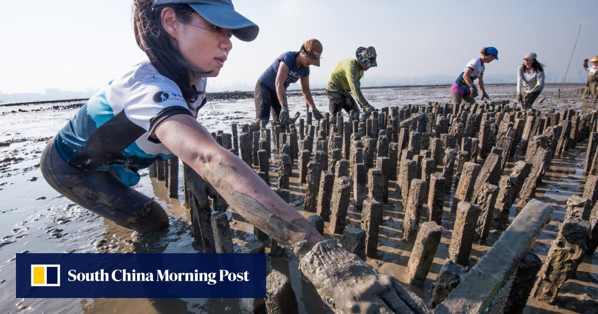 https://cdn.i-scmp.com/sites/default/files/styles/og_image_scmp_generic/public/d8/images/canvas/2025/05/14/47a33753-46f4-4bf1-957b-2456724a35d0_21777c27.jpg?itok=VA7DdObY&v=1747191682