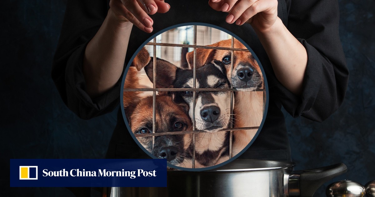 https://cdn.i-scmp.com/sites/default/files/styles/og_image_scmp_generic/public/d8/images/canvas/2025/05/15/4c116c0e-bbfb-4875-81c0-b141057f1455_e3d4dec2.jpg?itok=u1rICxO0&v=1747295779