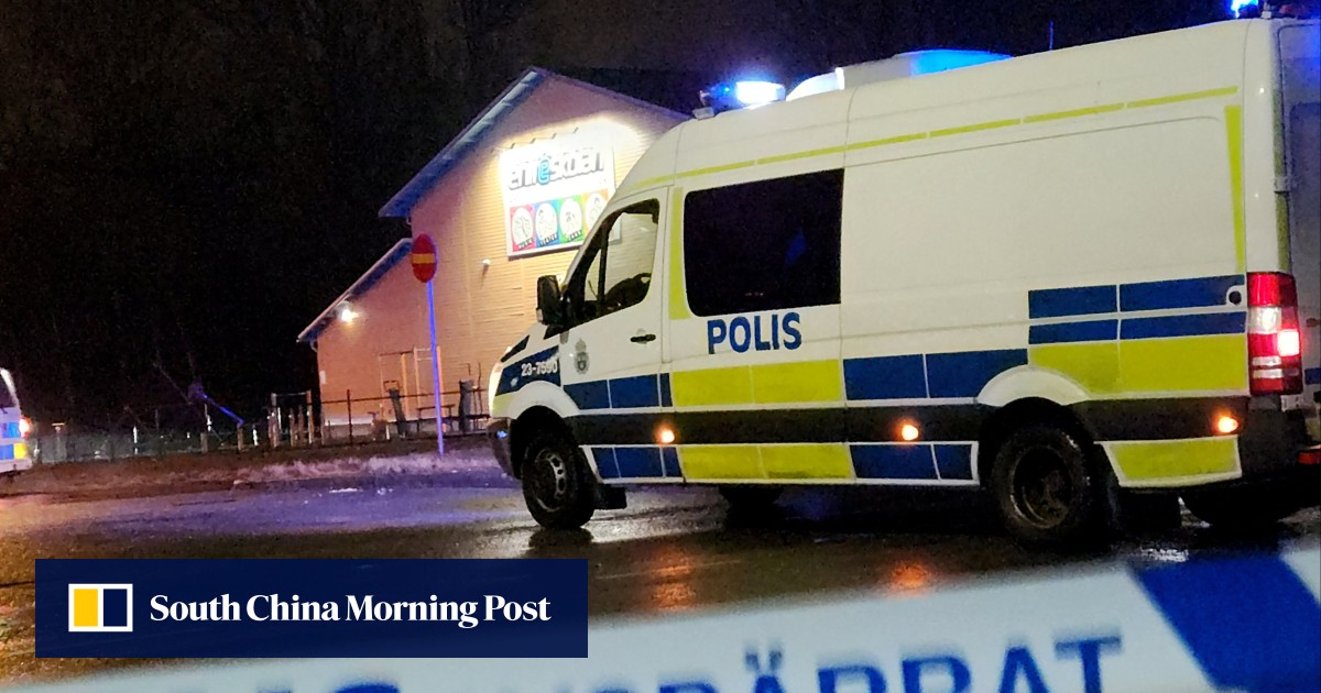 Suicide was Sweden school shooter’s motive: police